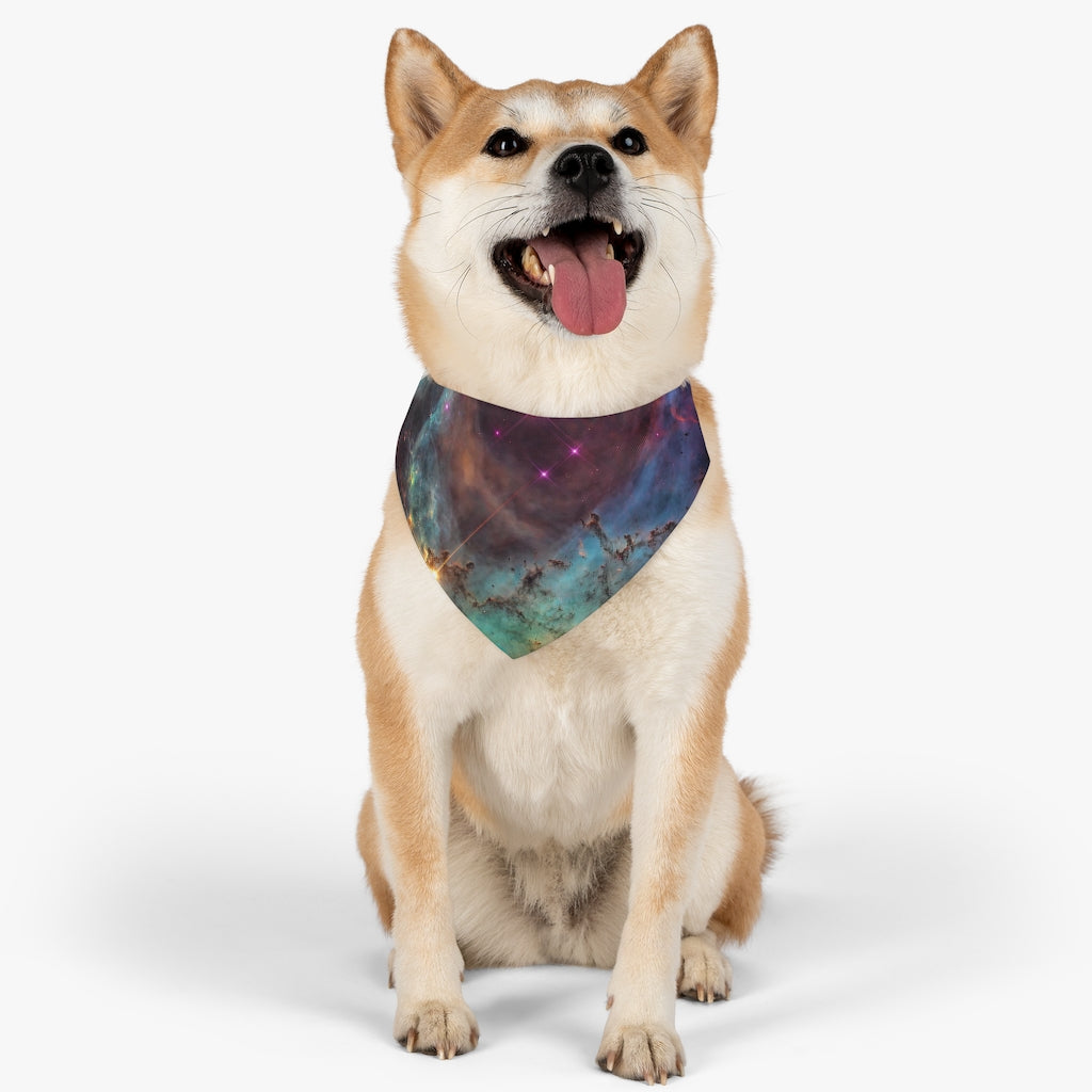 Color and Creation - Pet Bandana Collar